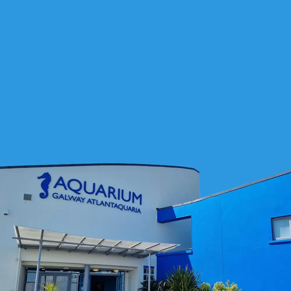 Galway Atlantaquaria, Salthill Galway City